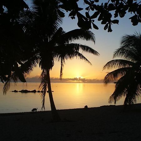 Tahiti - Taharuu Houses Surf & Beach Papara Dış mekan fotoğraf