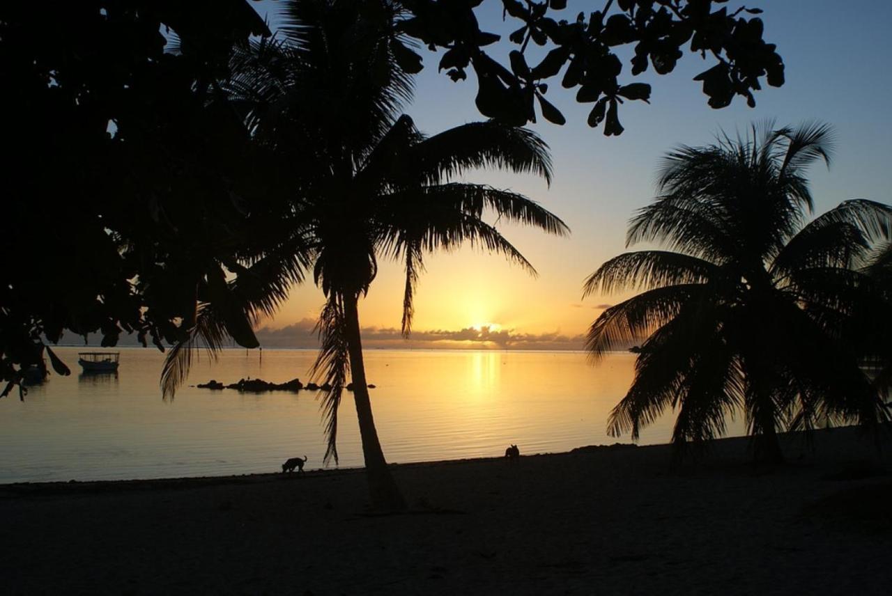 Tahiti - Taharuu Houses Surf & Beach Papara Dış mekan fotoğraf